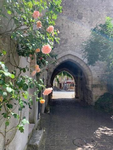 Maison Jeanne D'Arc Mennetou-sur-Cher Kültér fotó